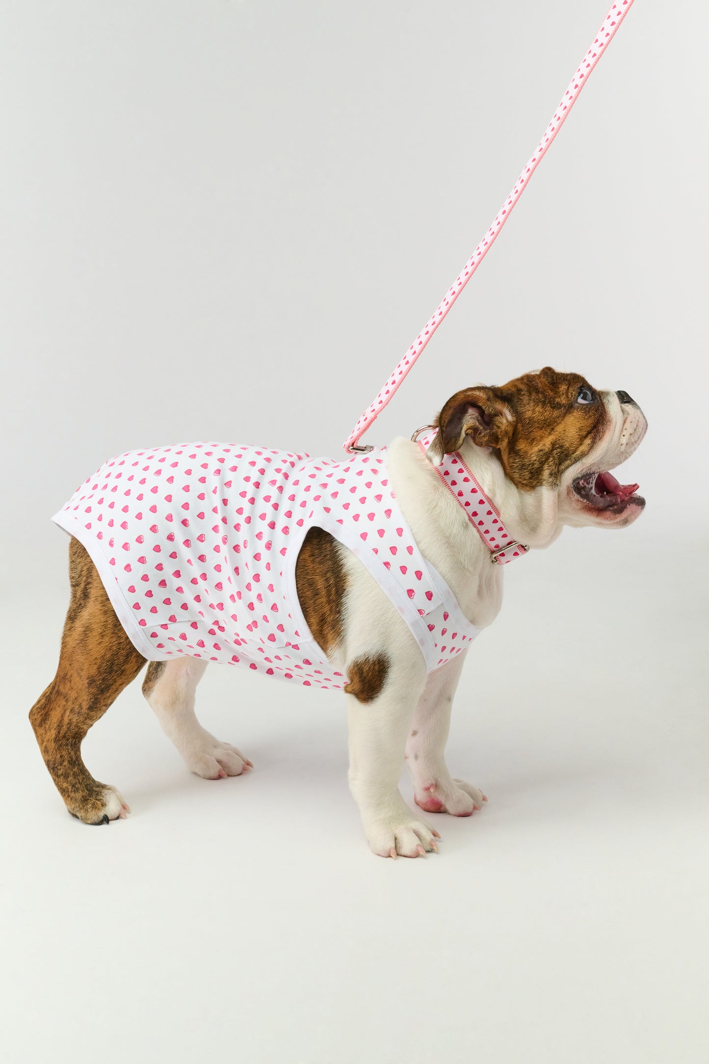 Hearts Dog Pajamas view 6