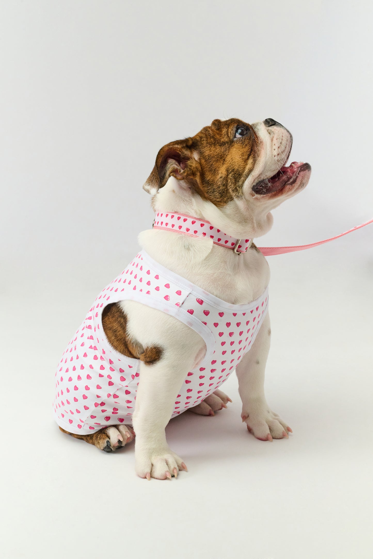 Hearts Dog Pajamas view 7