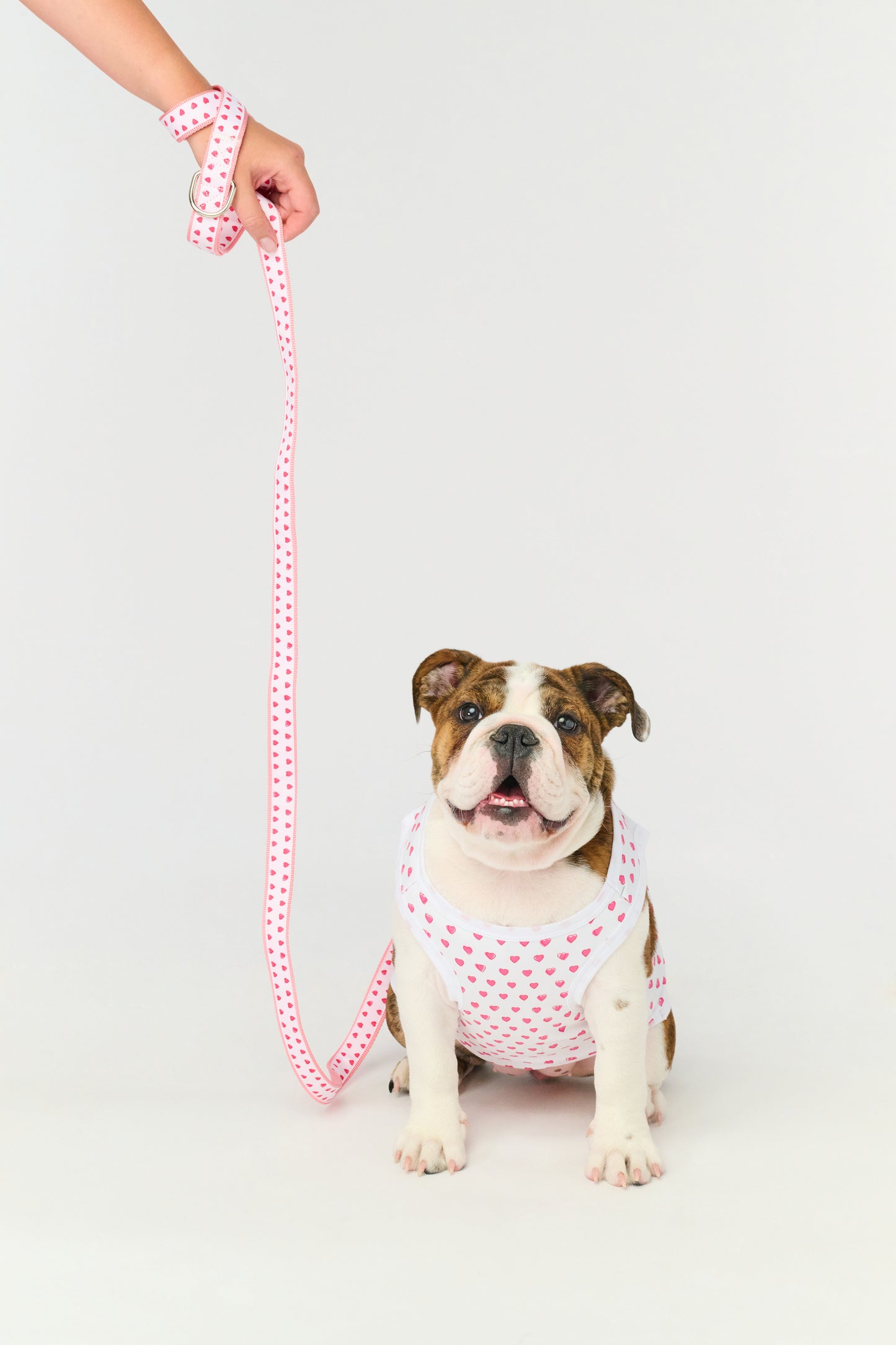 Hearts Dog Pajamas view 5