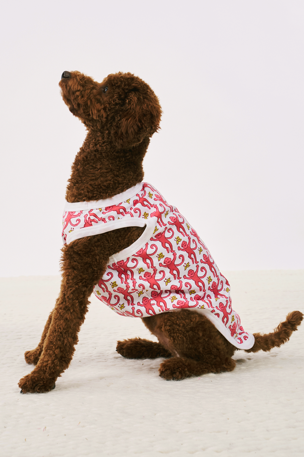 Monkey Dog Pajamas | Roller Rabbit