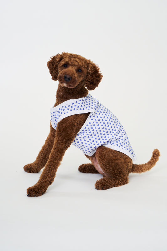 Roller Rabbit Blue Hearts Dog Pajamas view 1