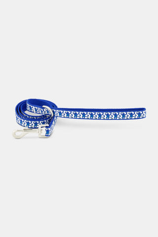 Monkey Dog Leash