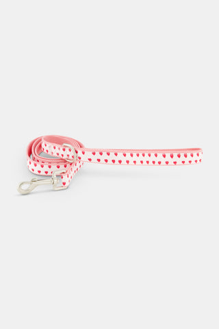 Hearts Dog Leash