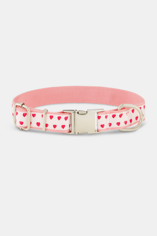 Hearts Dog Collar