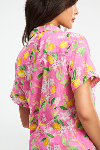 Roller Rabbit Lemon Blossom Livy Set