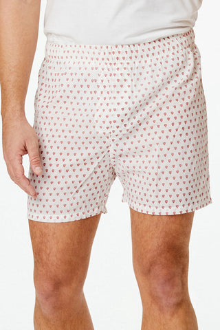 Roller Rabbit Blue/Pink Mens Hearts Boxer Set