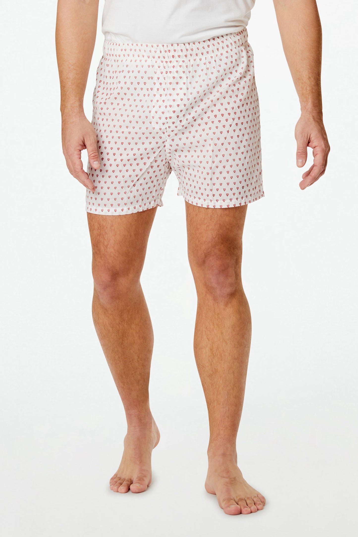 Roller Rabbit Blue/Pink Mens Hearts Boxer Set view 1