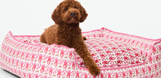 A brown curly-haired dog lies on a pink and white patterned dog bed with pink trim, looking up against a plain white background.