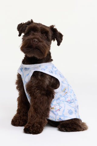 Roller Rabbit Blue Starry Nights Lattice Dog Pajamas