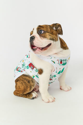 Snow Village Dog Pajamas