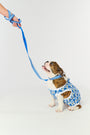 Monkey Dog Pajamas