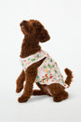 Roller Rabbit Gingerbread Party Dog Pajamas