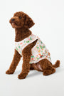 Roller Rabbit Gingerbread Party Dog Pajamas