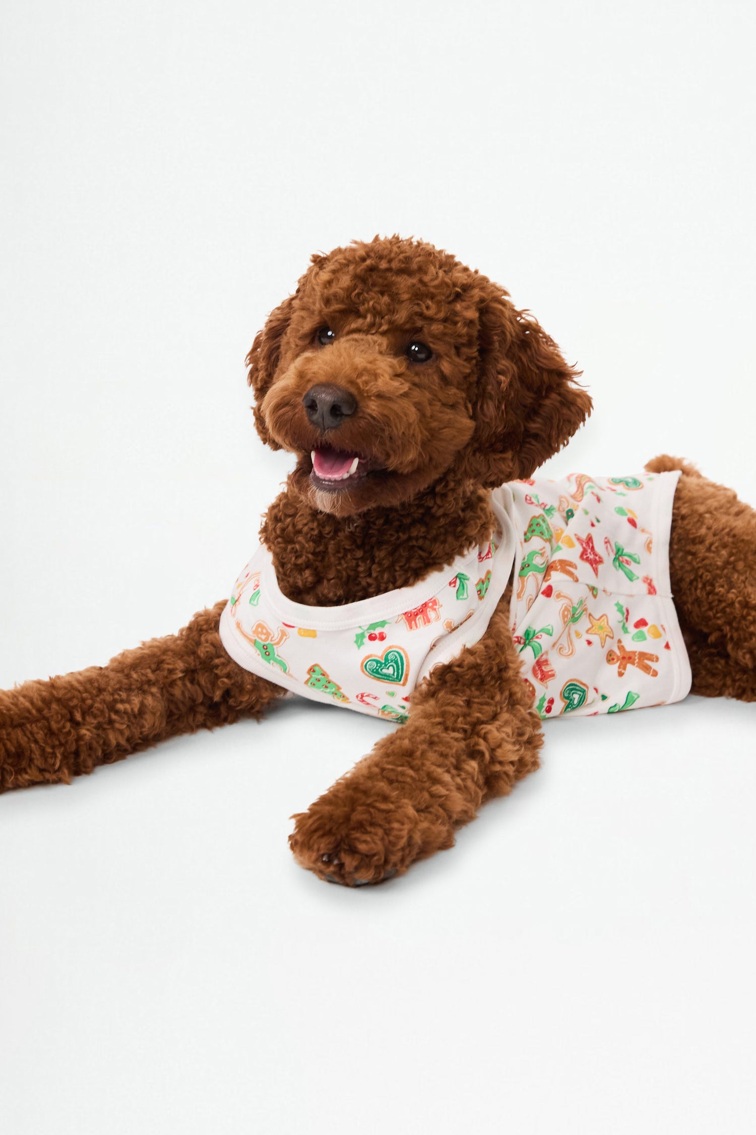 Roller Rabbit Gingerbread Party Dog Pajamas