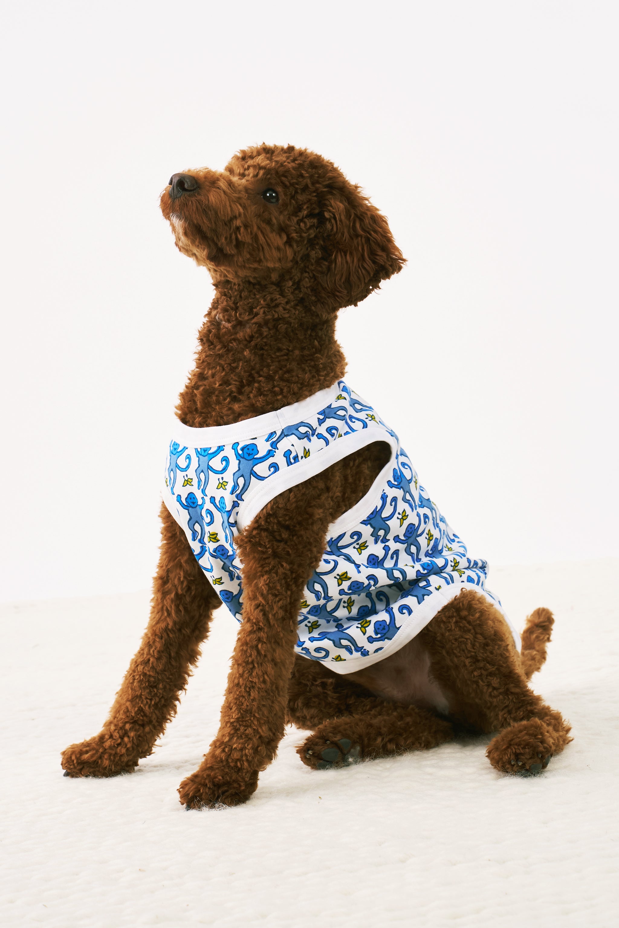 Monkey Dog Pajamas | Roller Rabbit