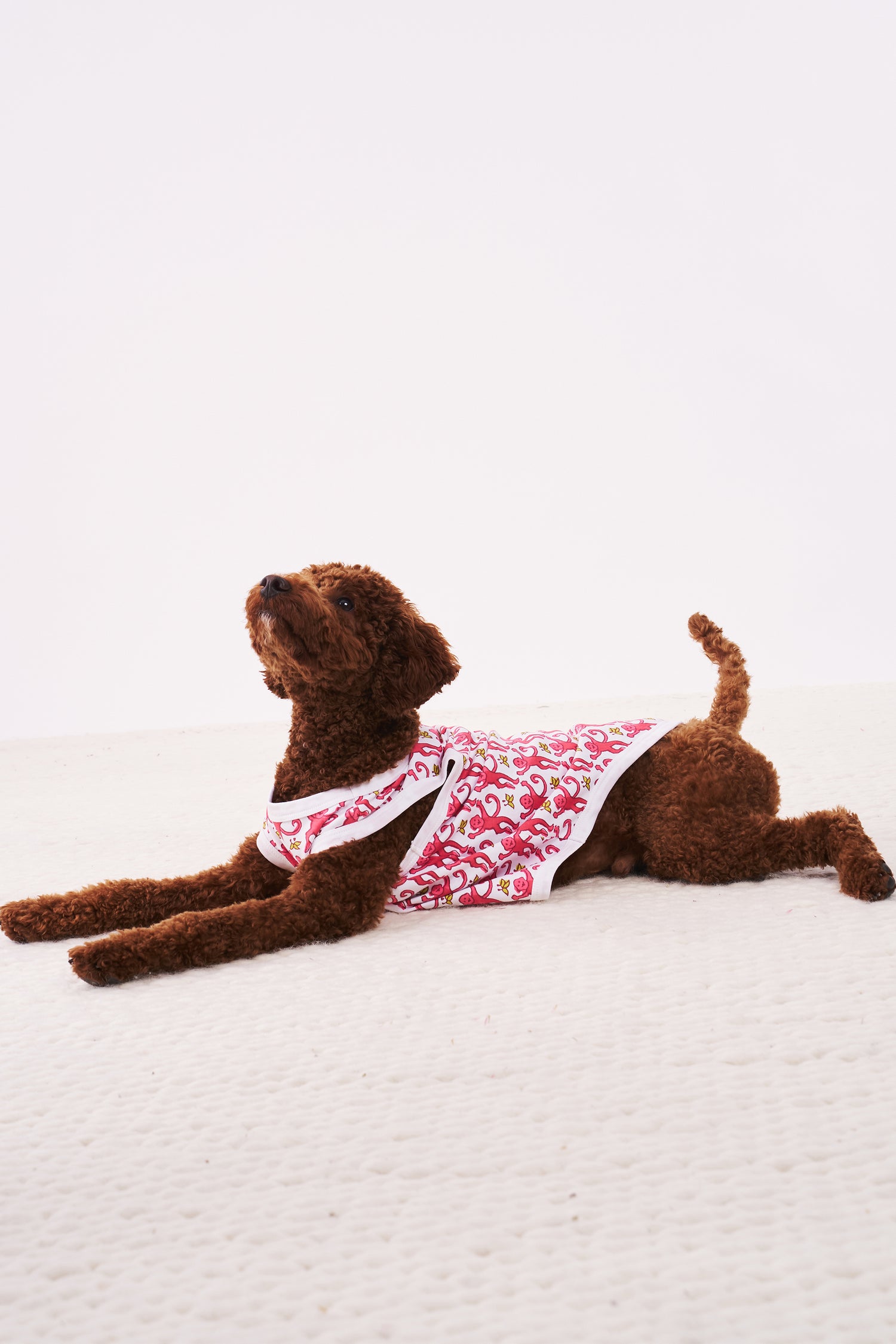 Roller Rabbit Pink Monkey Dog Pajamas