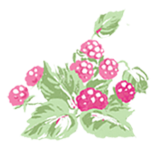 Illustration of pink berries with green leaves on a white background