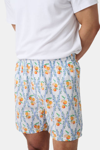 Roller Rabbit Mens Summer Club/Clementine Trellis Boxer Set
