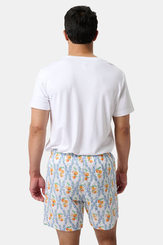 Roller Rabbit Mens Summer Club/Clementine Trellis Boxer Set