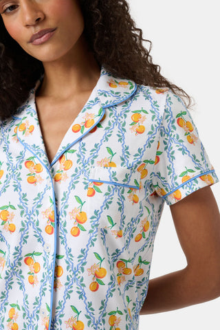 Roller Rabbit Orange Clementine Trellis Polo Pajamas