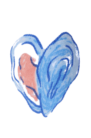 clam shell icon