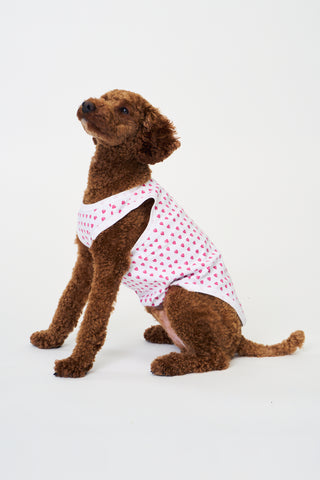 Pink Hearts Dog Pajamas