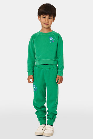 A young child faces forward in Roller Rabbit Kids Boston Monkey Sweatpants, paired with a matching green sweatshirt featuring playful graphics and white sneakers, set against a plain white background.
