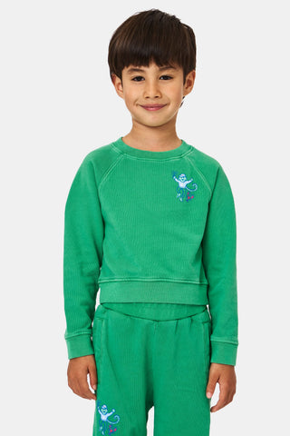 A child faces forward, head partially out of frame, wearing the Roller Rabbit Kids Boston Monkey Crewneck— a green sweatshirt and pants set with a playful cartoon monkey graphic on the upper left.
