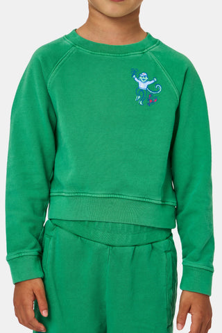 A child faces forward, head partially out of frame, wearing the Roller Rabbit Kids Boston Monkey Crewneck— a green sweatshirt and pants set with a playful cartoon monkey graphic on the upper left.