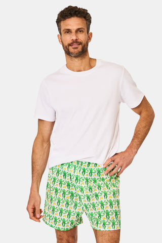 Roller Rabbit Men's Green & Blue Monkey Boxer Set