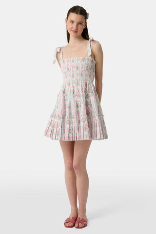 Roller Rabbit x Hill House Pink Monkey Block Stripe Ribbon Charlotte Nap Dress