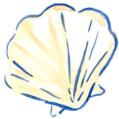 A watercolor illustration of a yellow seashell with blue outlines, featuring delicate ridges and curves that are clearly visible from the front.