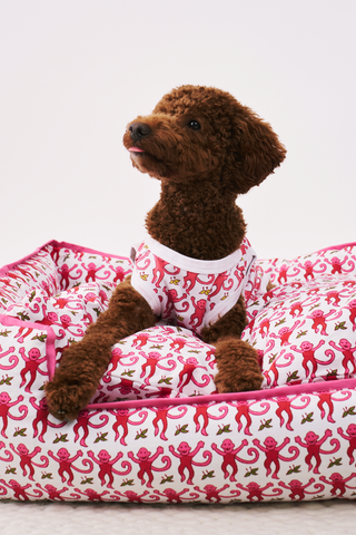 Monkey Dog Pajamas