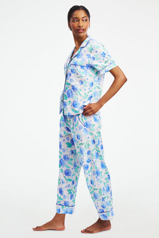 Hydrangea Liza Set